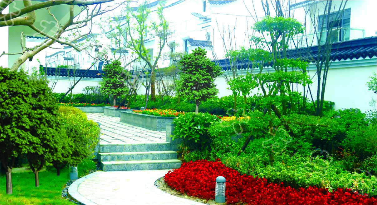 鹽城6.jpg