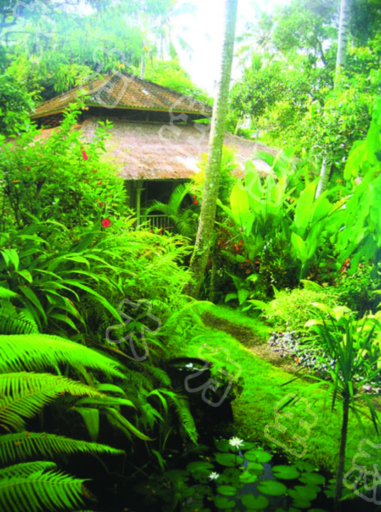 涪陵濱江國際花園景觀(guān)設計3.jpg